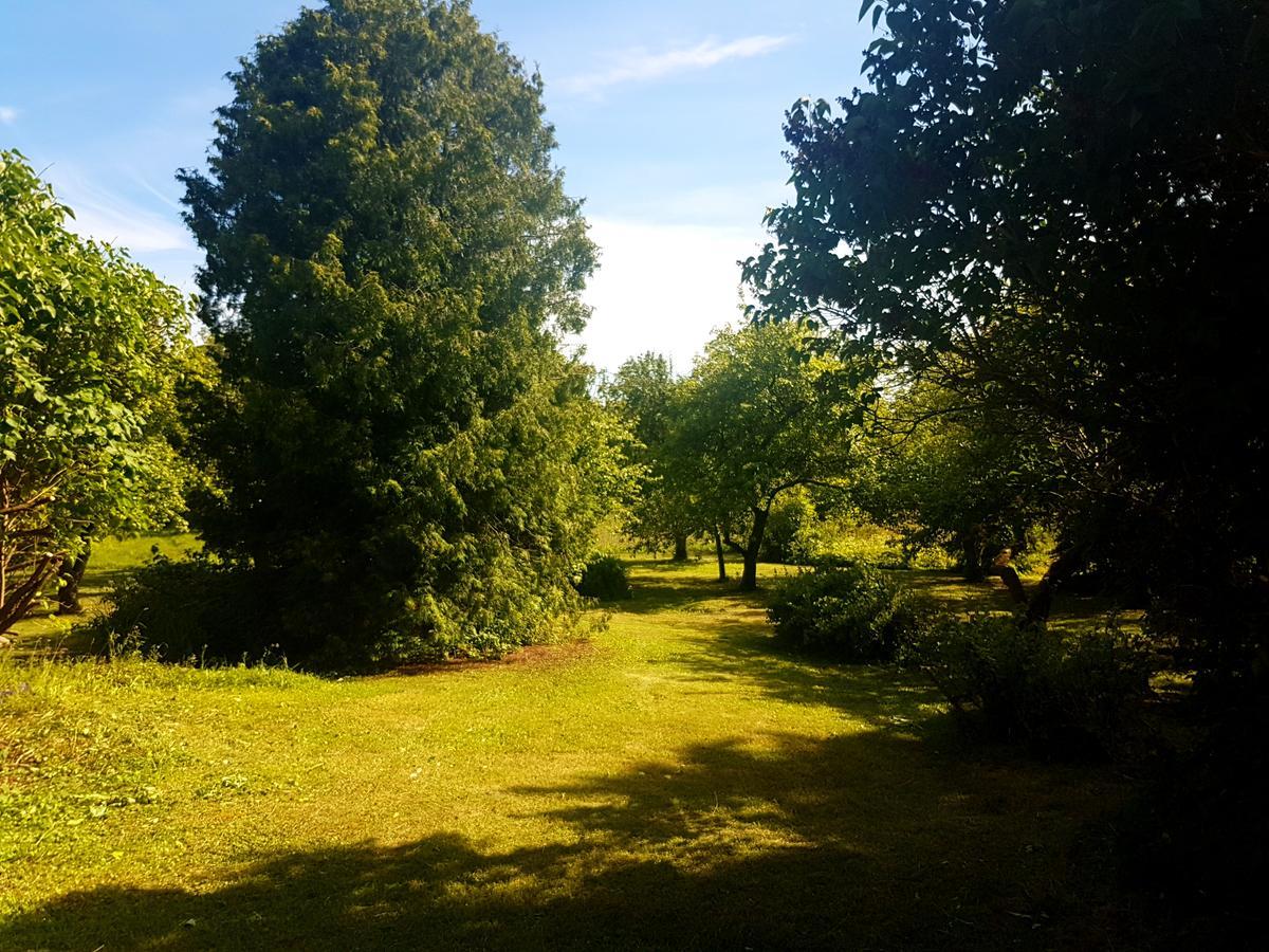 Paali cottages Tornimae Esterno foto